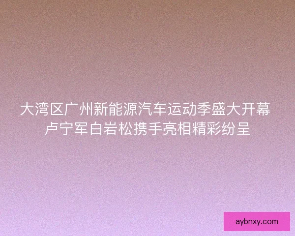 大湾区广州新能源汽车运动季盛大开幕 卢宁军白岩松携手亮相精彩纷呈