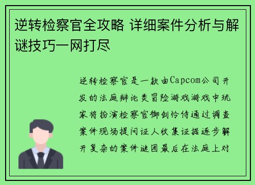 逆转检察官全攻略 详细案件分析与解谜技巧一网打尽